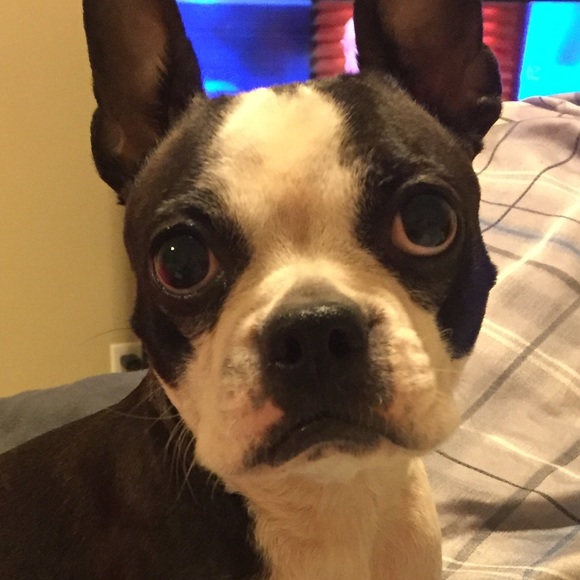 Meet your Posher, Jenna - Picture 1 of 1